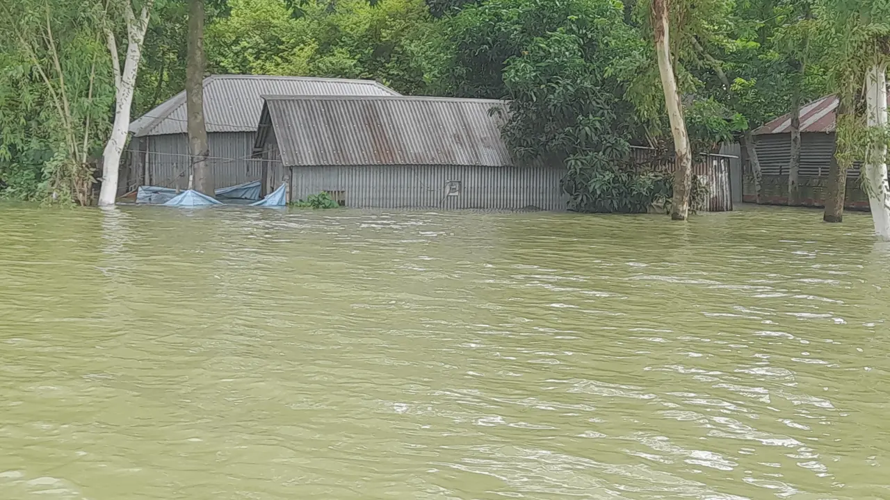 পানিতে তলিয়ে গেছে বসতবাড়ি। ছবি : কালবেলা