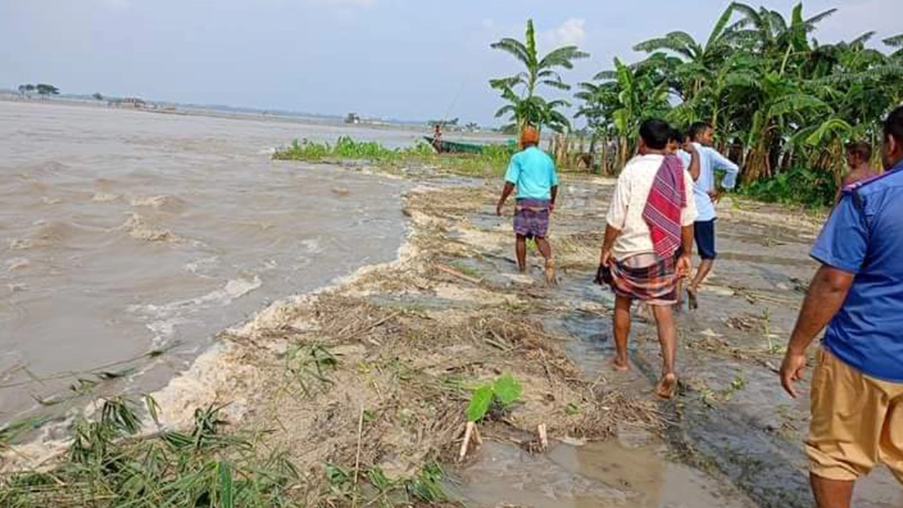 লালমনিরহাটের বন্যা পরিস্থিতি। ছবি : কালবেলা