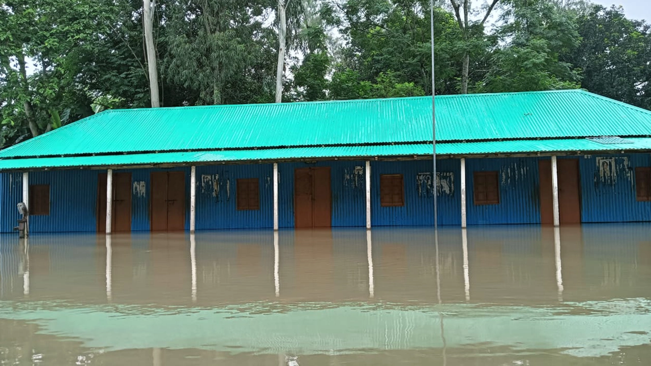 পানিতে নিমজ্জিত টাঙ্গাইলের বিদ্যালয়। ছবি : কালবেলা