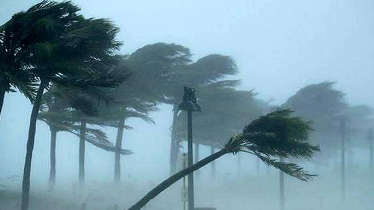 পুরোনো ছবি