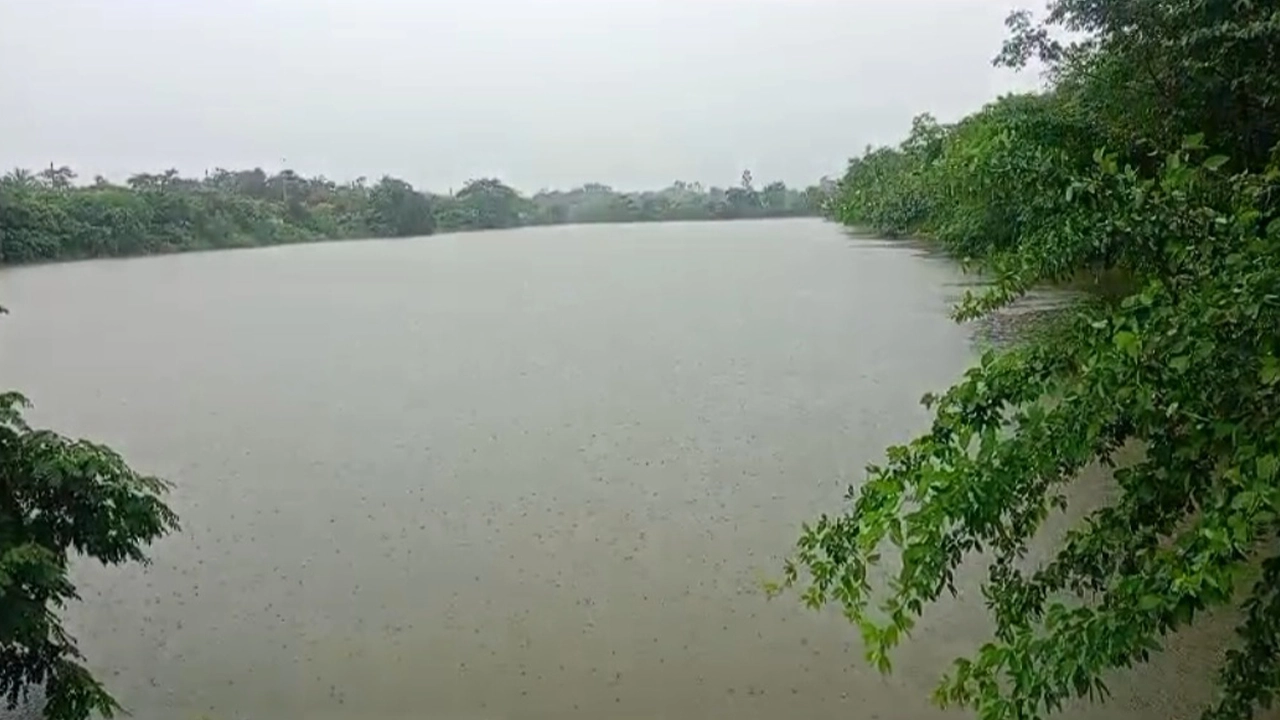 ব্রাহ্মণবাড়িয়ার নবীনগরে অবস্থির আশ্রয়ণ প্রকল্পের পুকুর। ছবি : কালবেলা