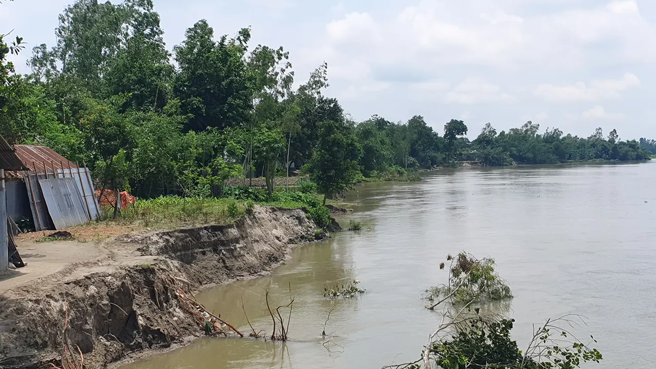 জামালপুরের ইসলামপুরে ব্রহ্মপুত্র শাখার দশআনি নদে পানি কমার সঙ্গে সঙ্গে তীব্র ভাঙন দেখা দিয়েছে। ছবি : কালবেলা