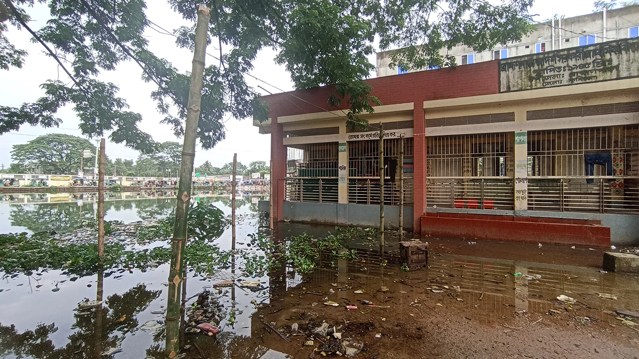 ব্রাহ্মণপাড়া আদর্শ সরকারি প্রাথমিক বিদ্যালয়। ছবি : কালবেলা