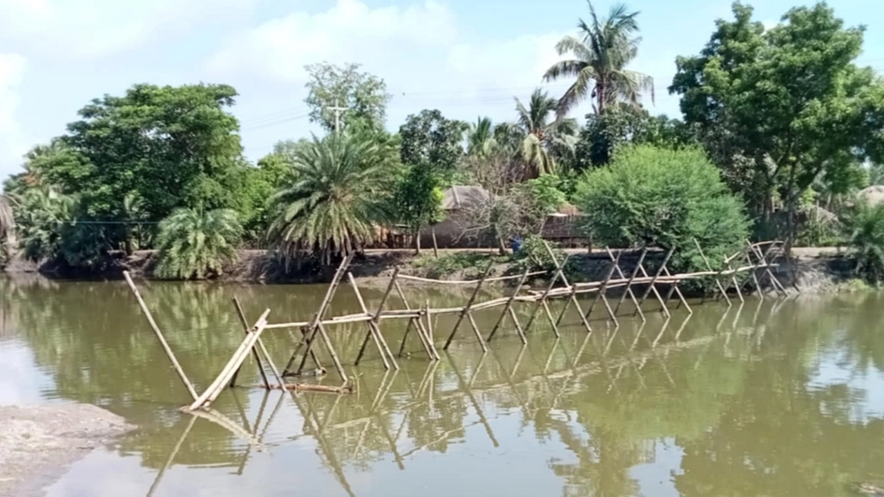 নৈর নদীর ওপর নির্মিত বাঁশের সাঁকো। ছবি : কালবেলা