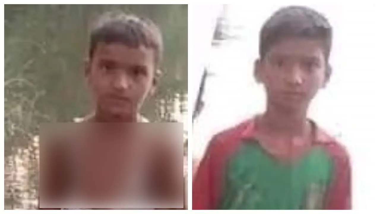 পানিতে ডুবে মৃত্যু হওয়া দুই সহোদর শিশু। ছবি : সংগৃহীত