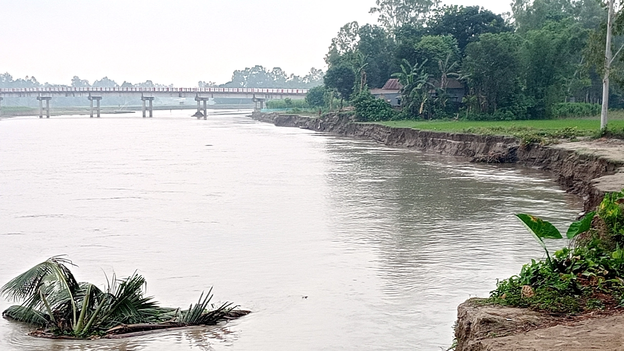 বকশীগঞ্জে পানি কমলেও বেড়েছে ভাঙন। ছবি : কালবেলা