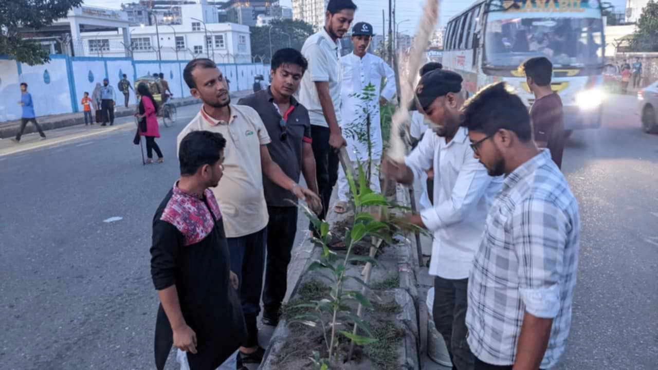 রাজধানীতে ছাত্রদলের বৃক্ষরোপণ কর্মসূচি। ছবি : কালবেলা