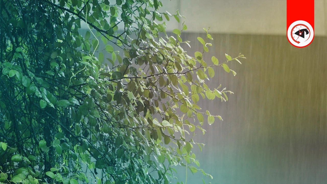 ছবি : কালবেলা
