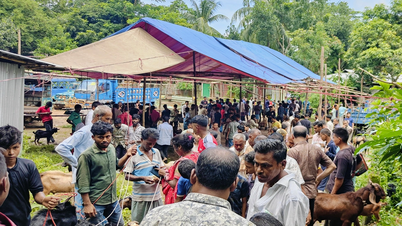 রাঙামাটির কাপ্তাইয়ের রাইখালী ছাগলের হাটের একটি চিত্র। ছবি : কালবেলা