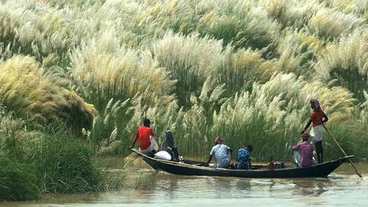 পুরোনো ছবি