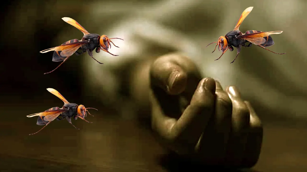 প্রতীকী ছবি