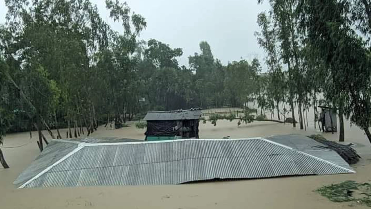 পানিতে তলিয়ে যাওয়া বাড়িঘর। ছবি : কালবেলা