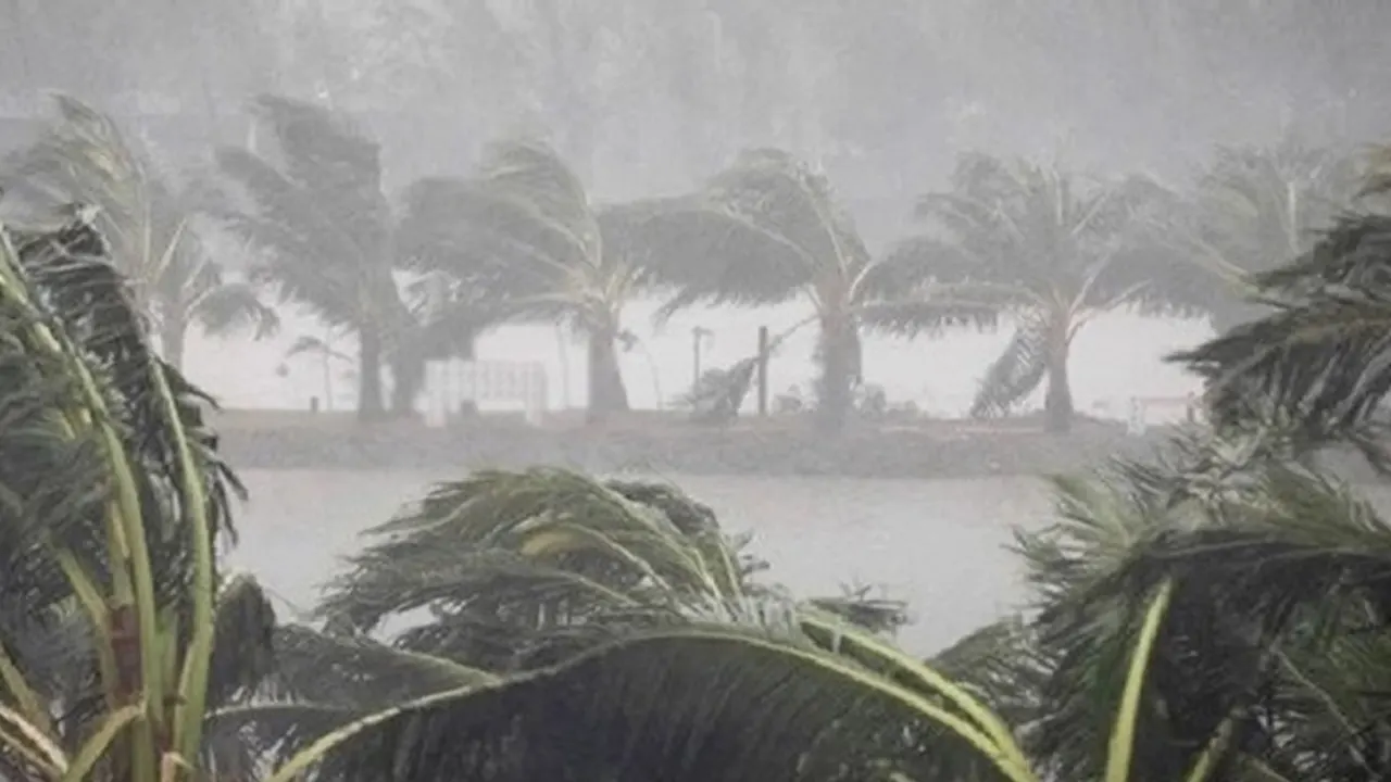 ছবি : সংগৃহীত।