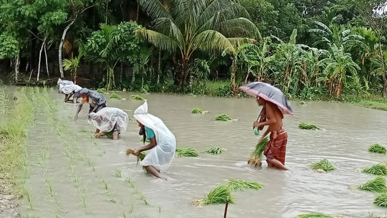 লাকি ব্যাম্বুতে ভাগ্য ফেরা হাফিজের পণ্য যাচ্ছে মধ্যপ্রাচ্যে