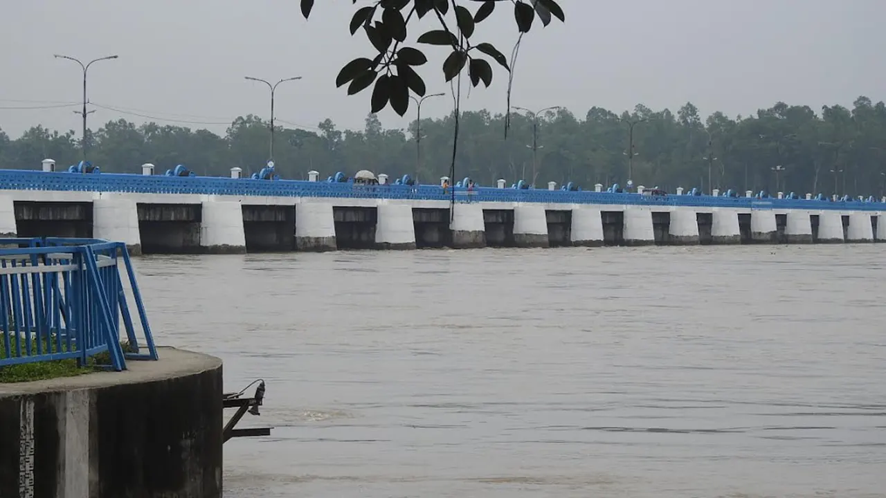 ছবি : সংগৃহীত।