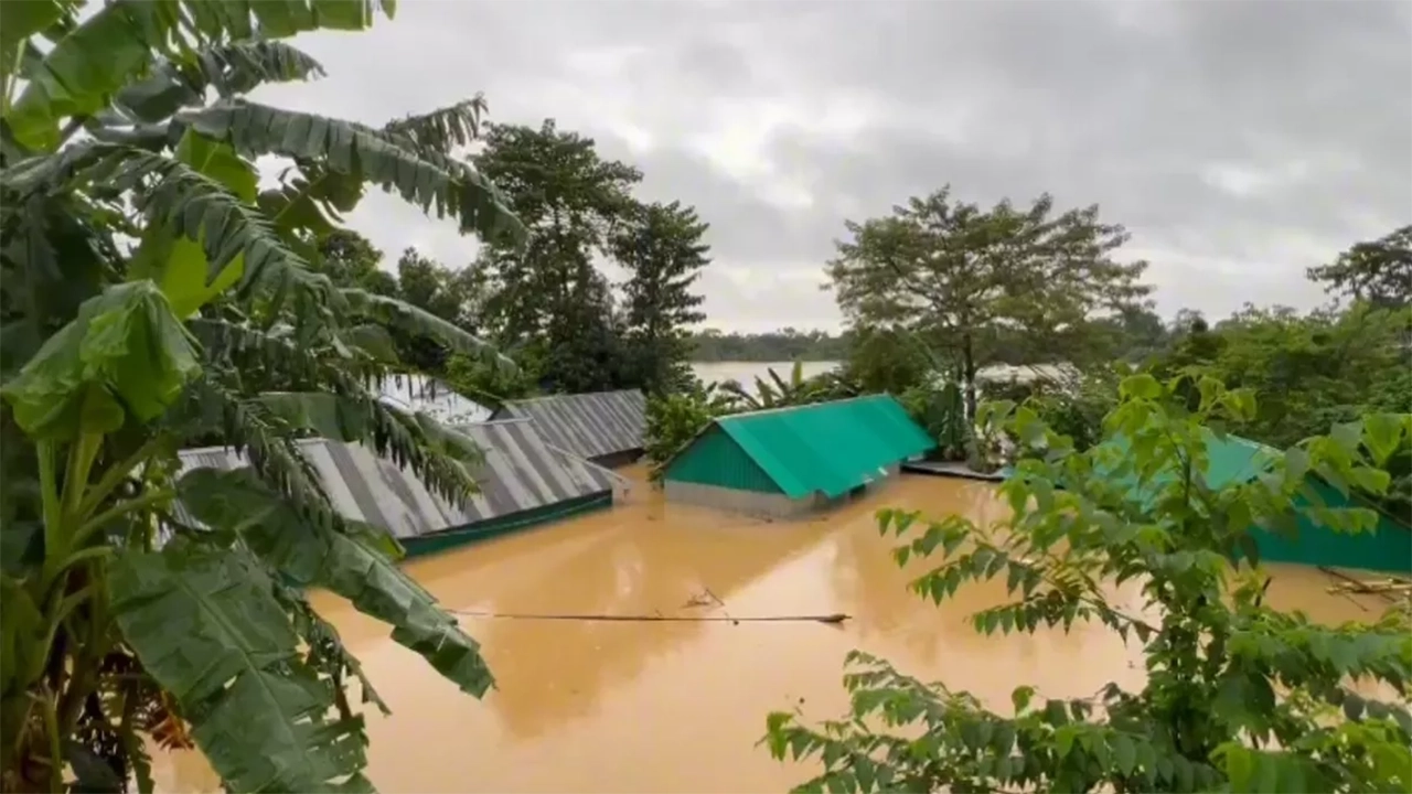 সংগৃহীত ছবি