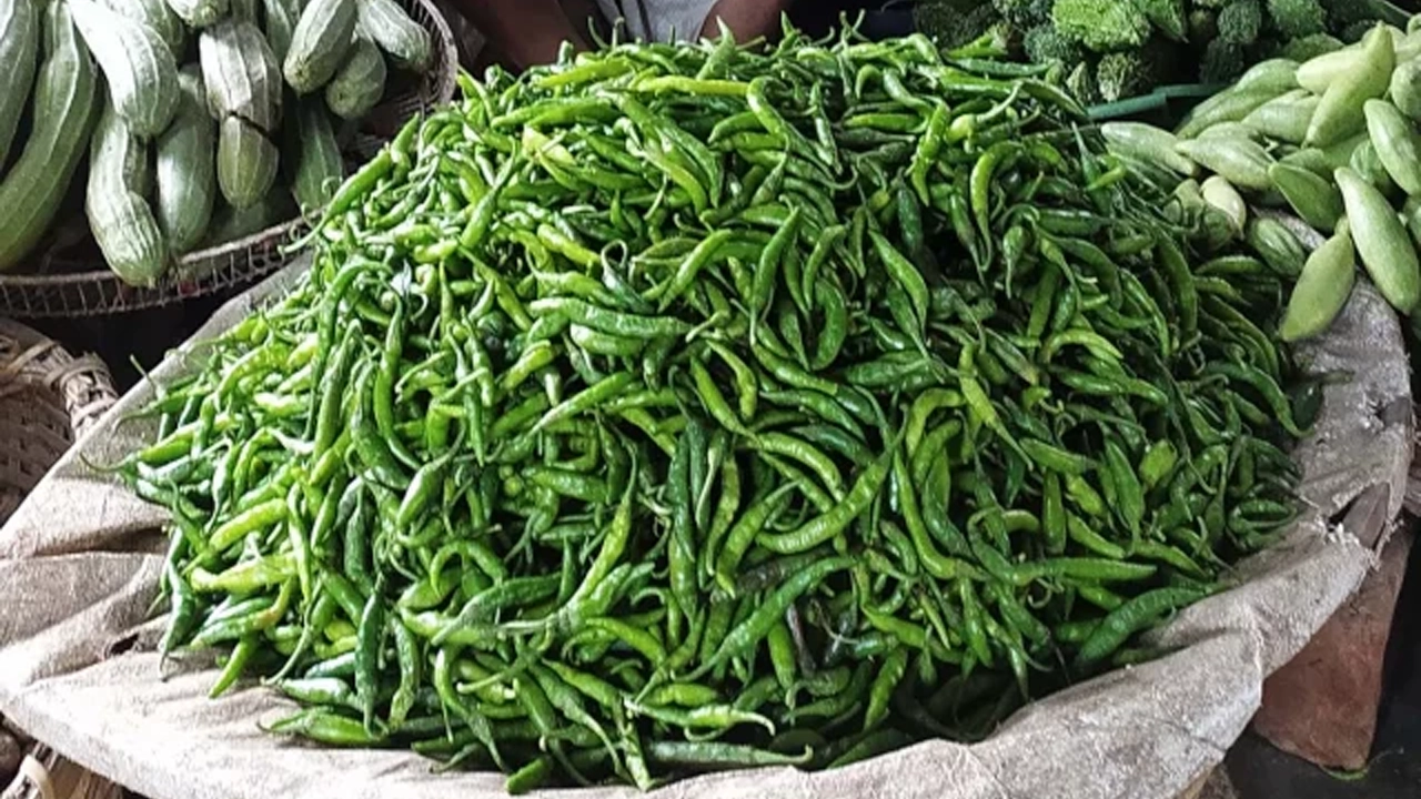 কাঁচামরিচ। ছবি : সংগৃহীত