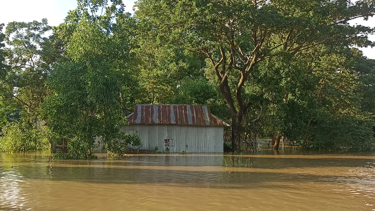 গোমতী নদী ও সালদা নদীর বেড়িবাঁধ ভেঙে প্লাবিত হয় কুমিল্লার ব্রাহ্মণপাড়া। ছবি : কালবেলা
