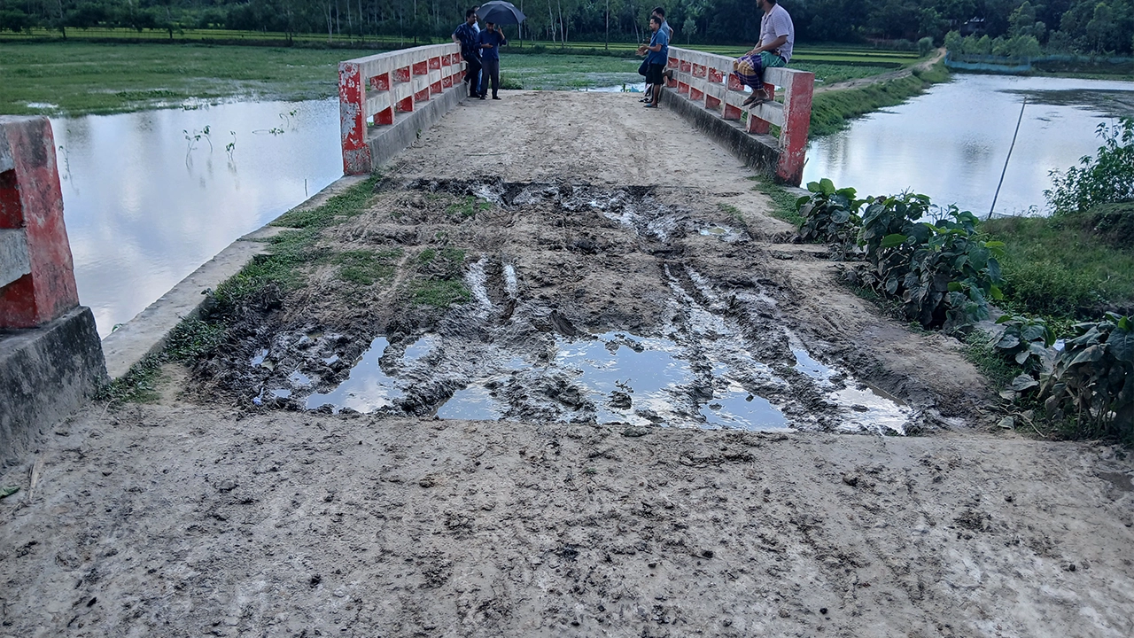 হাওদা বিলের একই সীমানা হওয়ায় দুটি ব্রিজের মধ্যে ফাঁকা জায়গা। ছবি : কালবেলা