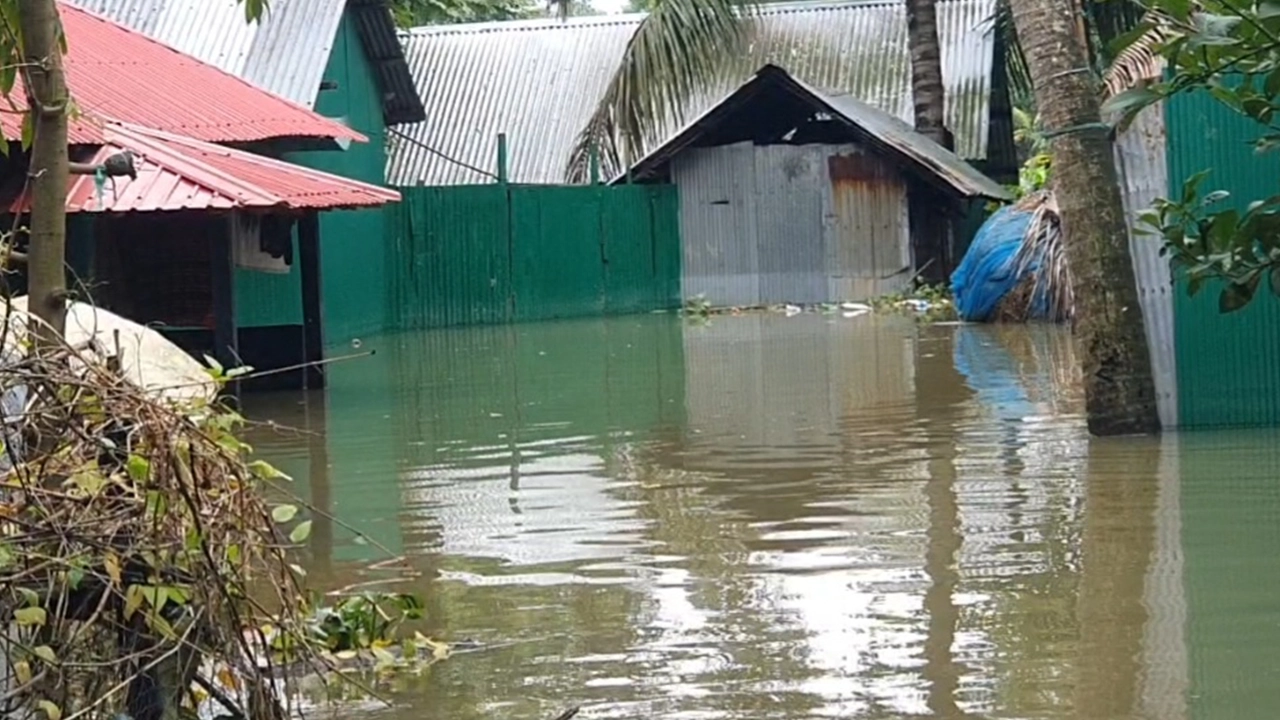 বন্যার পানি বেড়েই চলেছে চৌদ্দগ্রামে। ছবি : কালবেলা