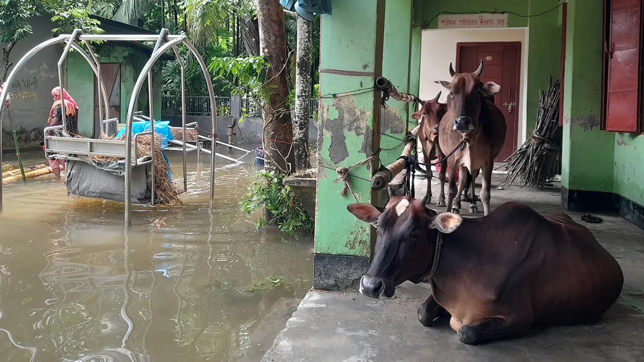 দুর্গম এলাকায় এখনো খাদ্য সহায়তা যথেষ্ট পৌঁছায়নি। ছবি : কালবেলা
