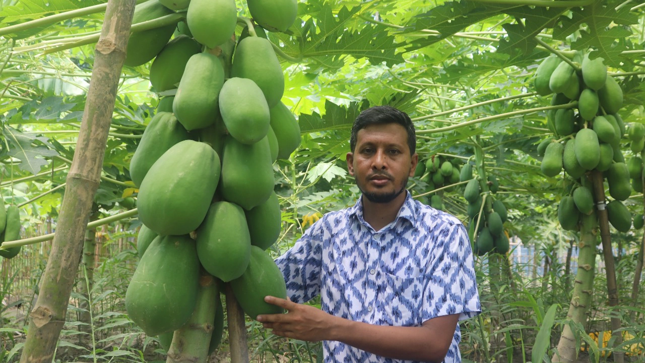 সফল কৃষি উদ্যোক্তা মো. জাহাঙ্গীর আলম। ছবি : কালবেলা 