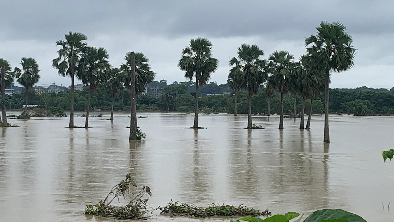 কুমিল্লায় বন্যায় বিপর্যস্ত জনজীবন। ছবি : কালবেলা