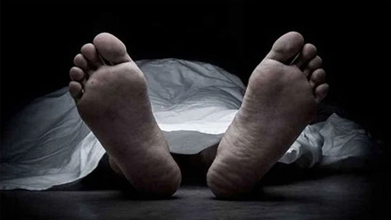 ছবি : সংগৃহীত