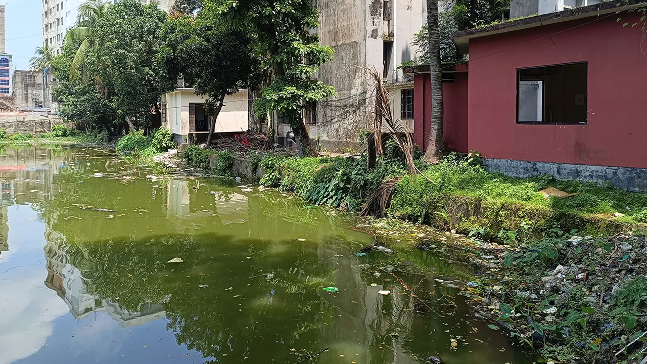 ব্রাহ্মণবাড়িয়ায় সদর থানার পুকুর। ছবি : কালবেলা
