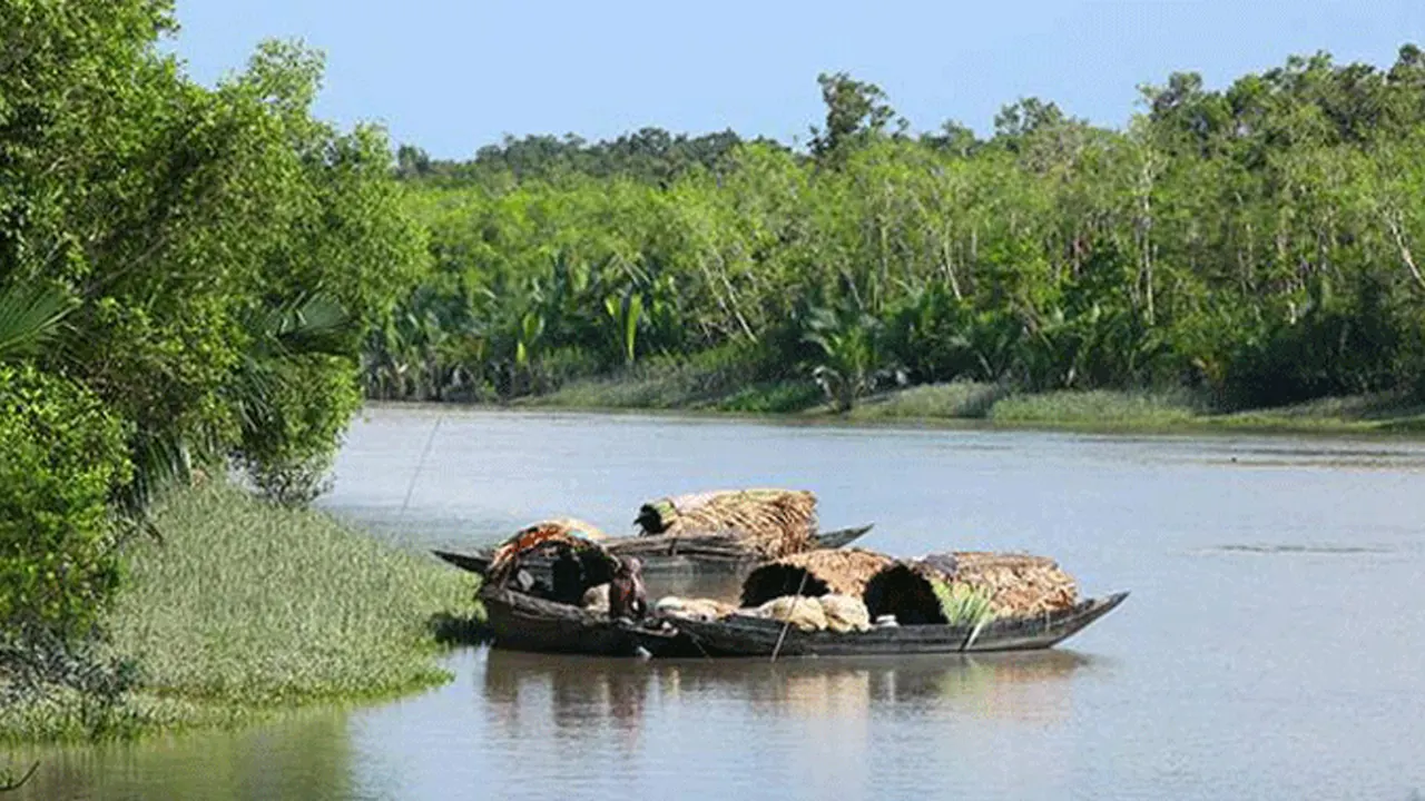 সুন্দরবনের মধ্যকার নৌপথ। ছবি : সংগৃহীত