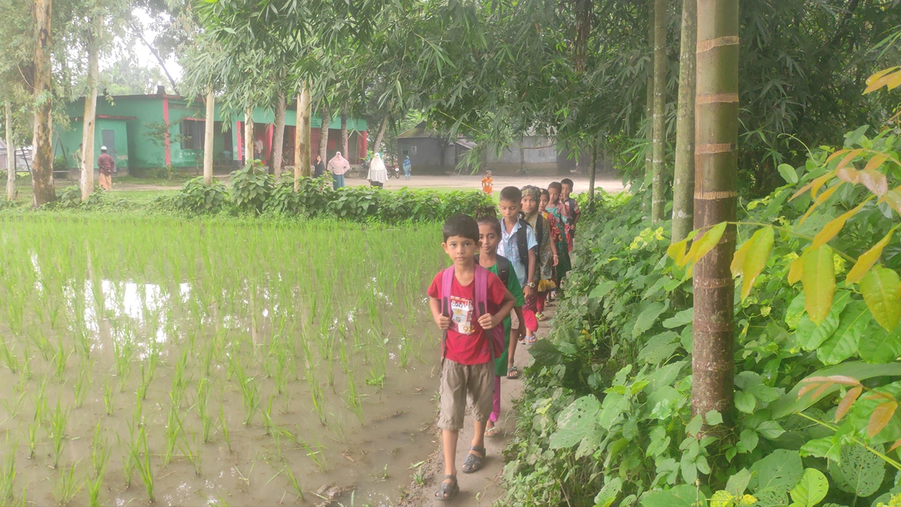 টাঙ্গাইলের গোপালপুরে শিমলাবাড়ি সরকারি প্রাথমিক বিদ্যালয়ে শিক্ষার্থীদের যাওয়ার একটি দৃশ্য। ছবি : কালবেলা