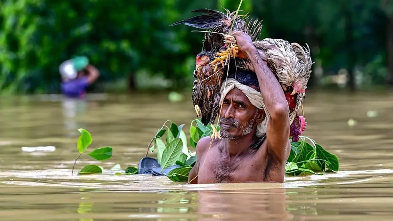 চলতি মাসে ফের বন্যার পূর্বাভাস রয়েছে। ছবি : সংগৃহীত