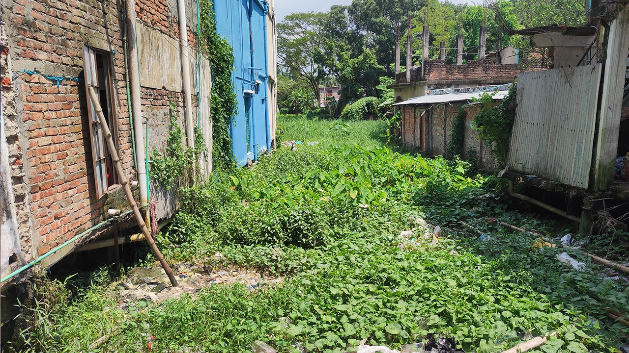 ব্রাহ্মণবাড়িয়ার আখাউড়া উপজেলার কালন্দি খাল