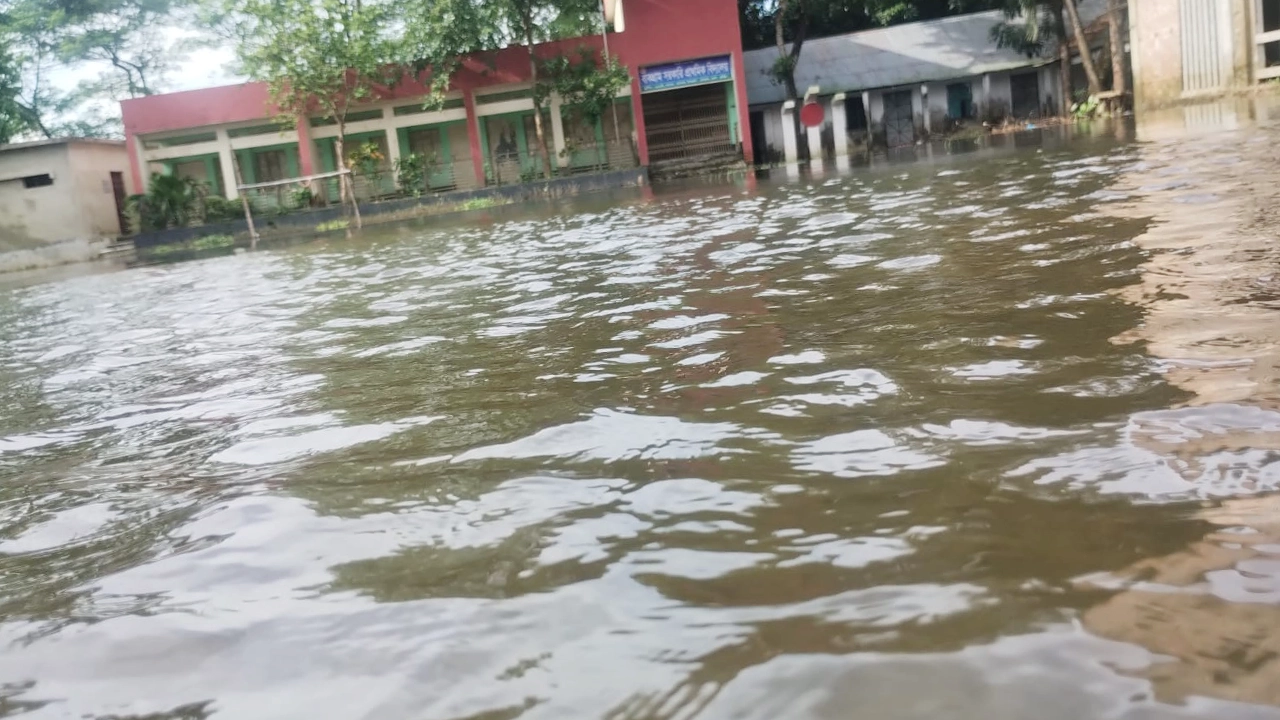 আলকরা ইউনিয়ন বাককগ্রাম সরকারি প্রাথমিক বিদ্যালয়। ছবি : কালবেলা