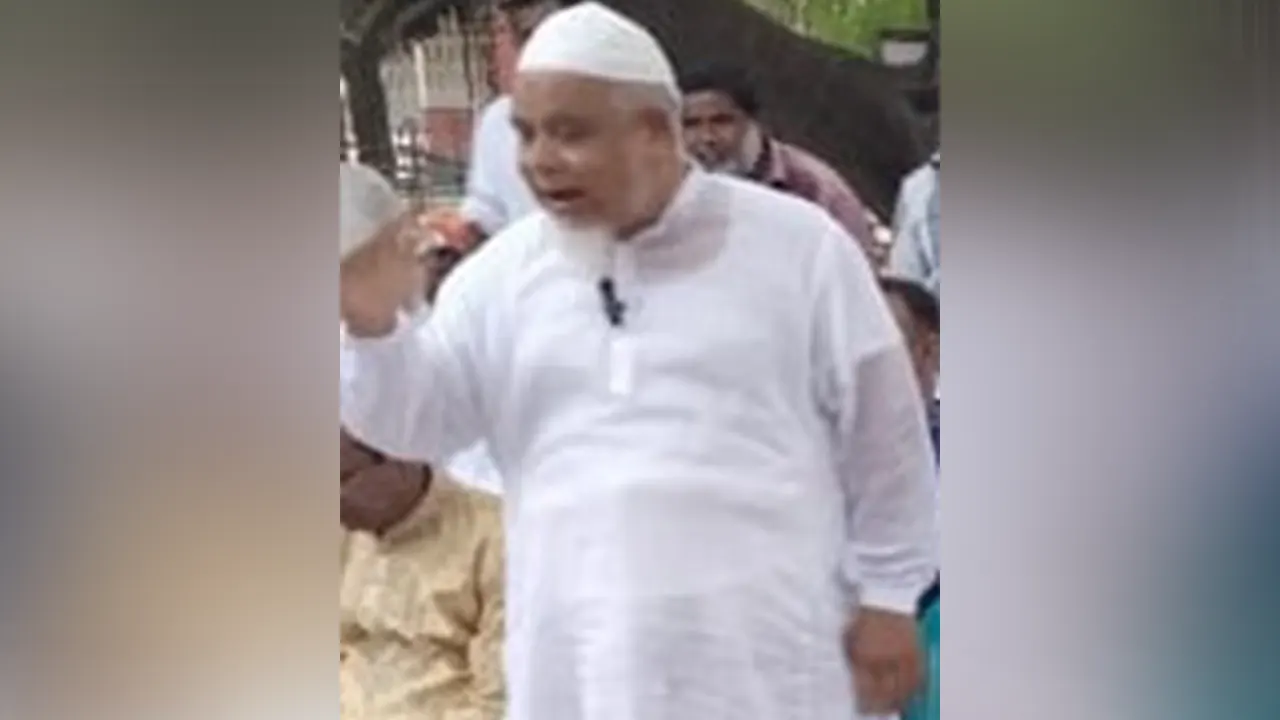 অভিযুক্ত বিএনপি নেতা তৌফিক শাহ। ছবি : সংগৃহীত