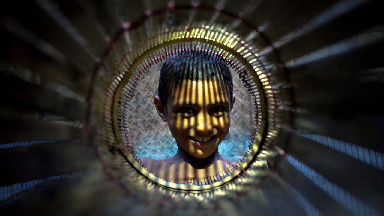 আলোকচিত্র। ছবি : সংগৃহীত