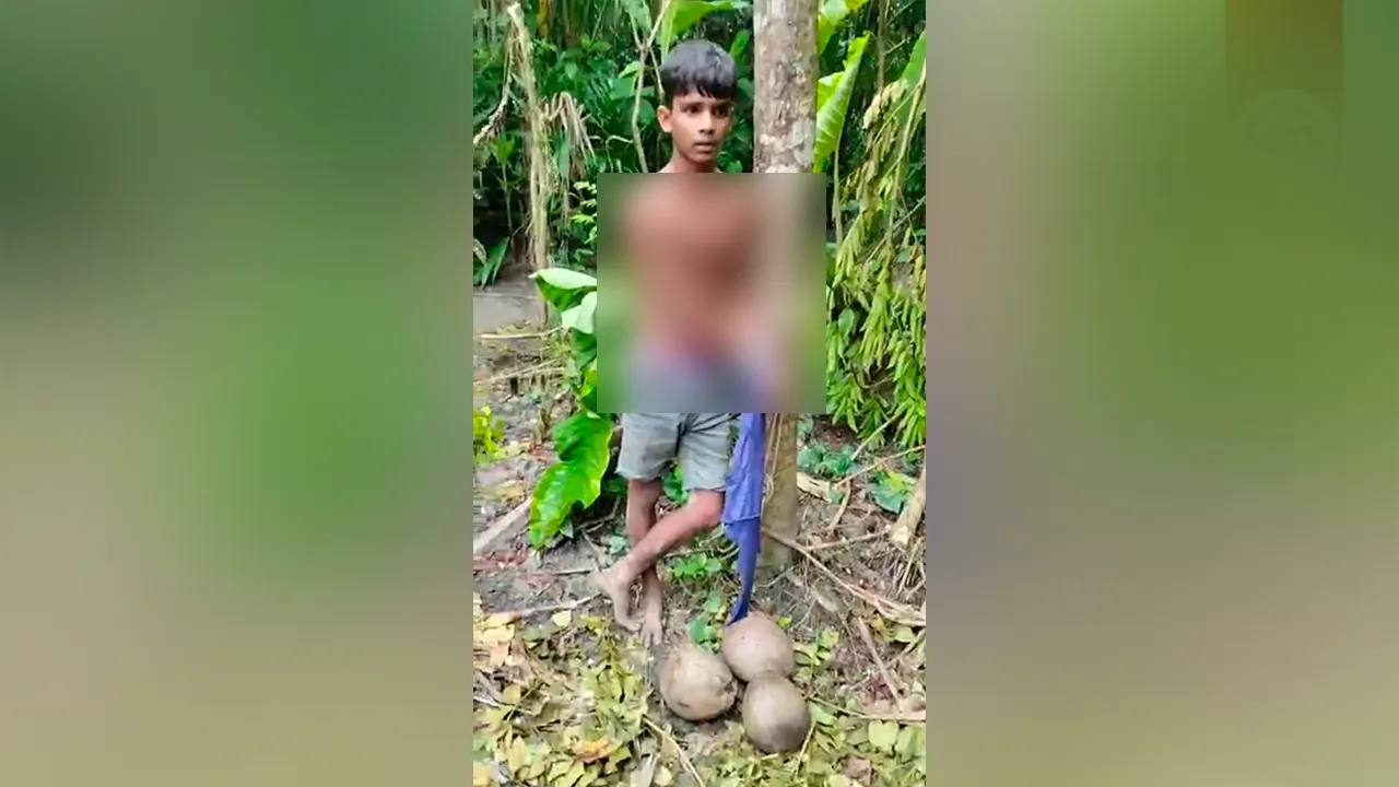 গাছে বাঁধা স্কুলছাত্র শুভ বেপারী। ছবি : কালবেলা