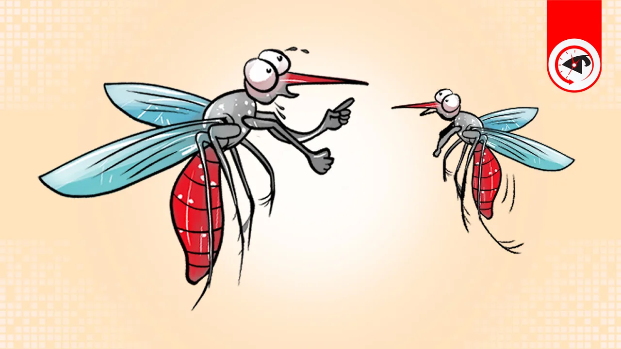 গ্রাফিক্স : কালবেলা।