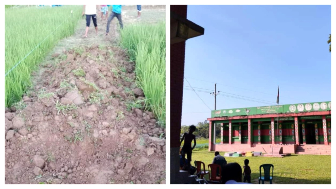 ঠাকুরগাঁওয়ের রাণীশংকৈল উপজেলার শালবাড়ি সরকারি প্রাথমিক বিদ্যালয়ে বন্ধ রাস্তা উদ্ধার। ছবি : কালবেলা