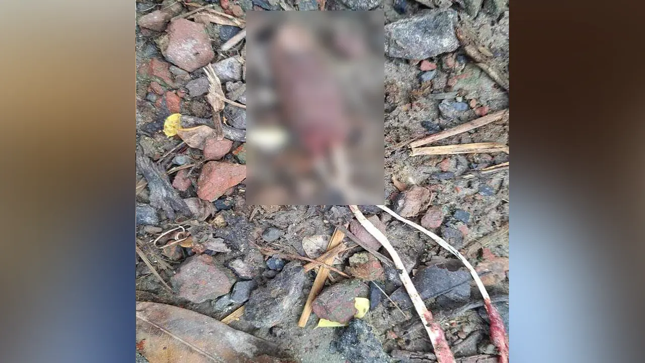 চোরের পড়ে থাকা কাটা আঙুল। ছবি : কালবেলা