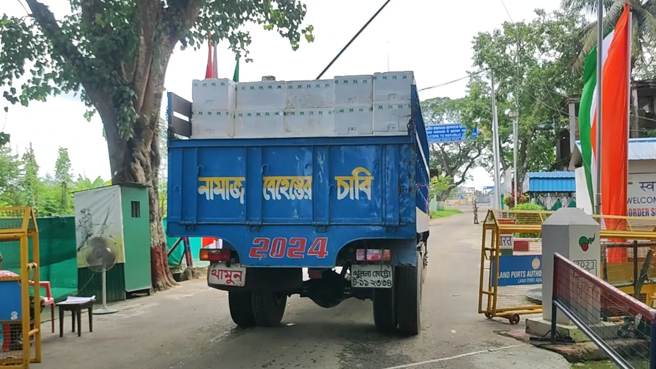 আখাউড়া স্থলবন্দর দিয়ে ভারতে রপ্তানি হওয়া বরফায়িত মাছ। ছবি : কালবেলা