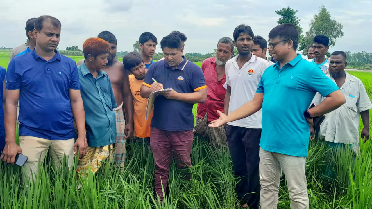 পীরগঞ্জ উপজেলার একটি ধানক্ষেত থেকে নিহত রাসেলের মরদেহ উদ্ধার করেছে পুলিশ। ছবি : কালবেলা