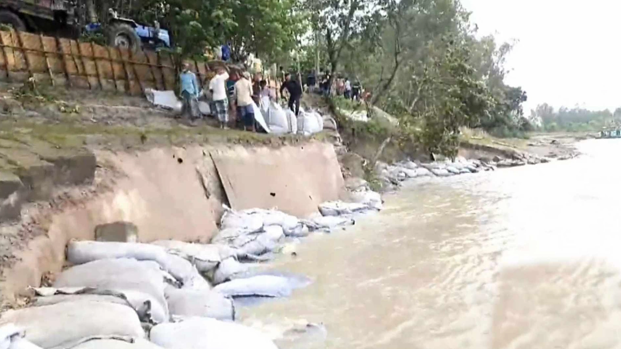 সিরাজগঞ্জের কাজিপুরে যমুনা নদী তীর রক্ষা বাঁধের ৭০ মিটার এলাকায় ধস। ছবি : কালবেলা