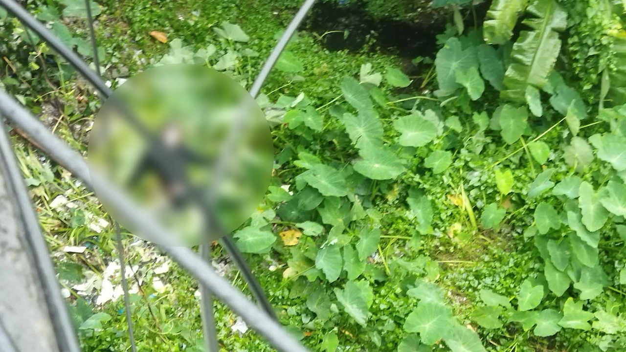 টাঙ্গাইলের কালিহাতীতে নিখোঁজের তিন দিন পর ডোবা থেকে জিহাদ নামে এক কিশোরের লাশ উদ্ধার। ছবি : সংগৃহীত