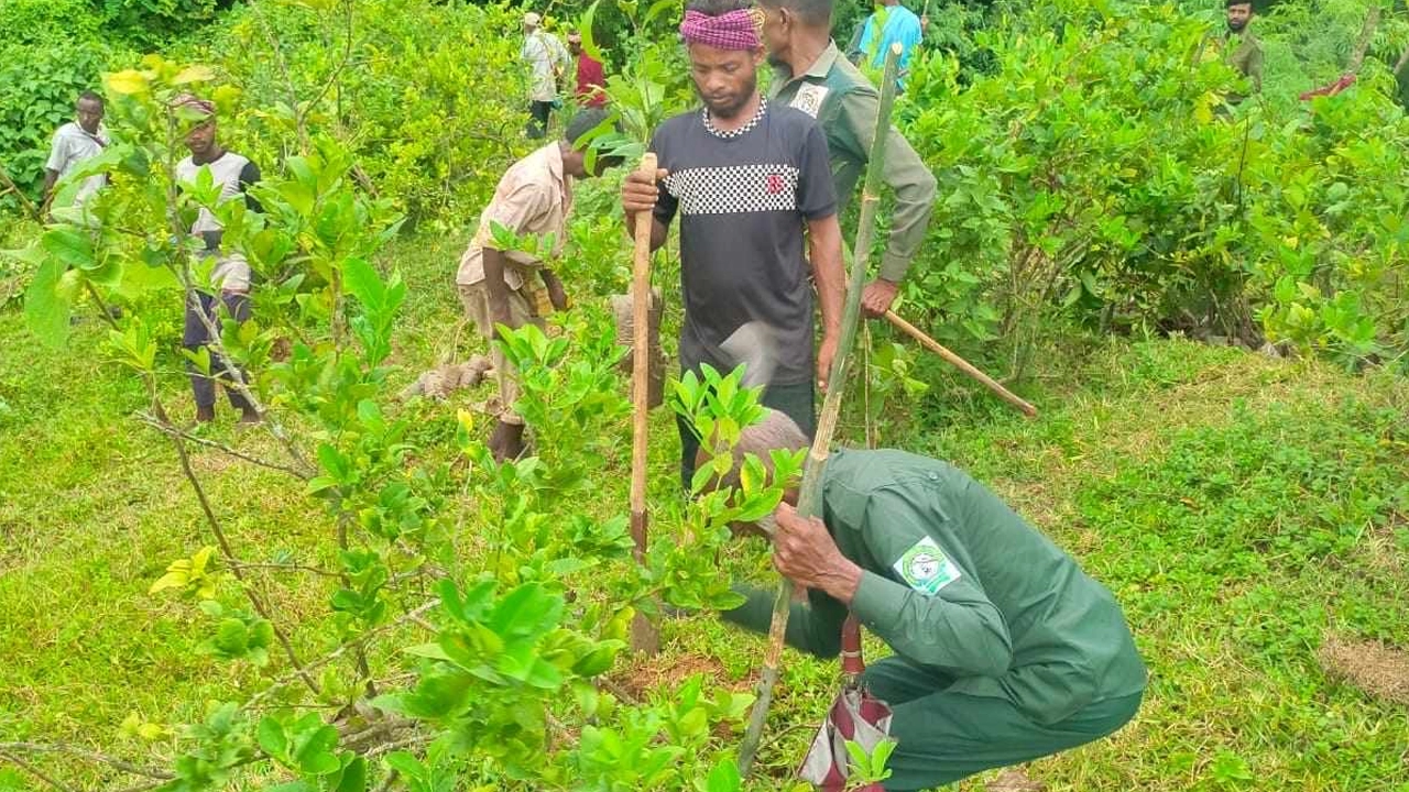 সাবেক কৃষিমন্ত্রীর দখলে থাকা জমি উদ্ধার করেছে বন বিভাগ। ছবি : কালবেলা