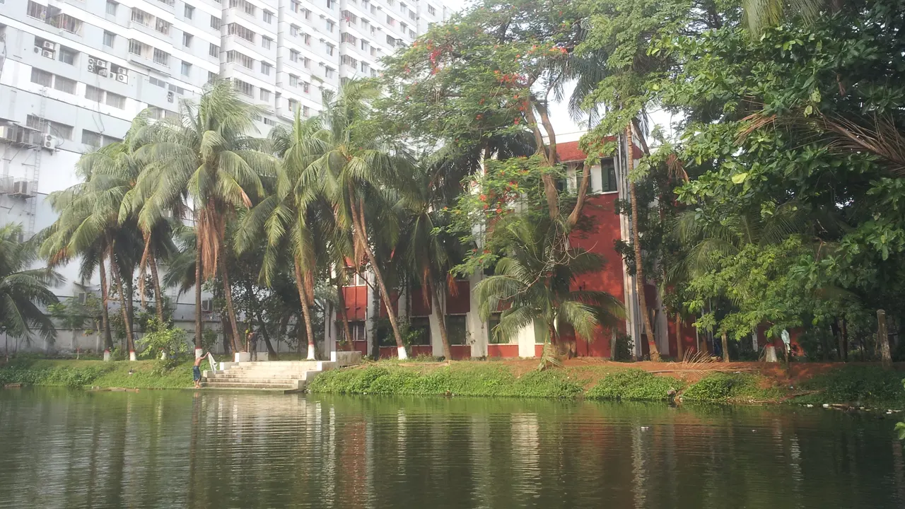 ছবি : সংগৃহীত
