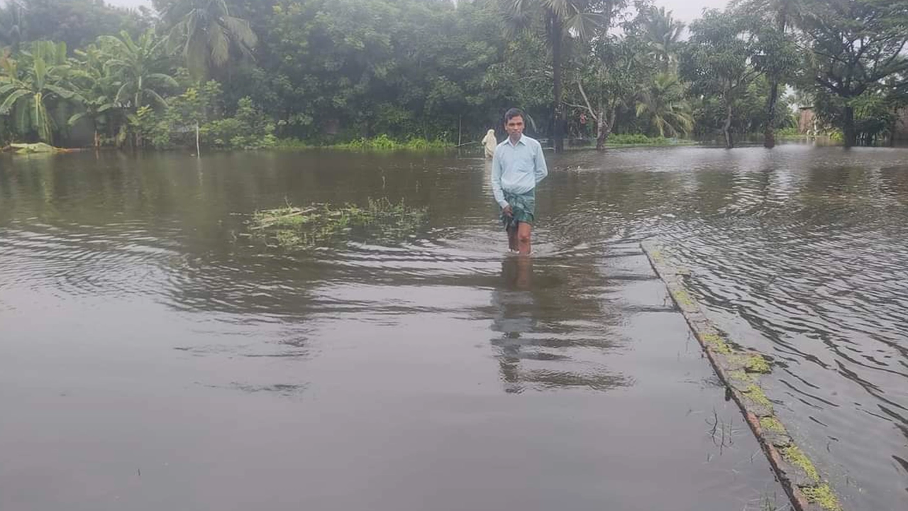 সাতক্ষীরায় টানা বৃষ্টিতে ভেসে কয়েক হাজার মাছের ঘের ও পুকুর। ছবি : কালবেলা
