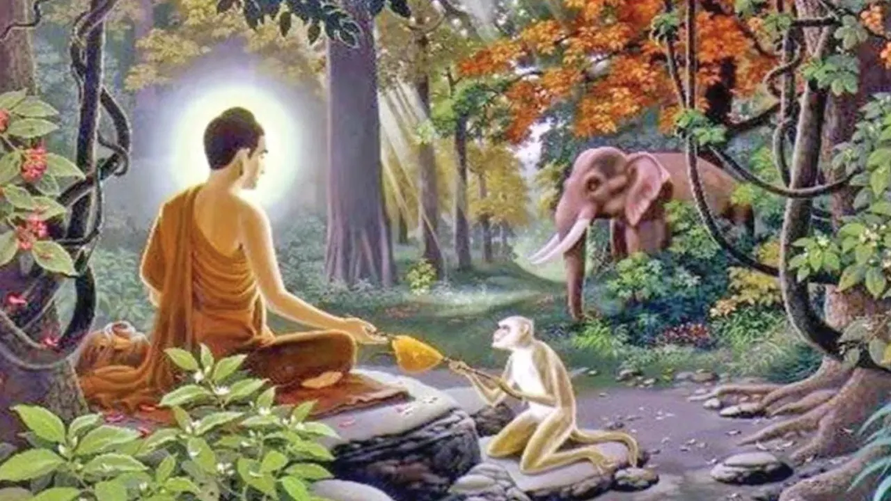 ছবি : সংগৃহীত
