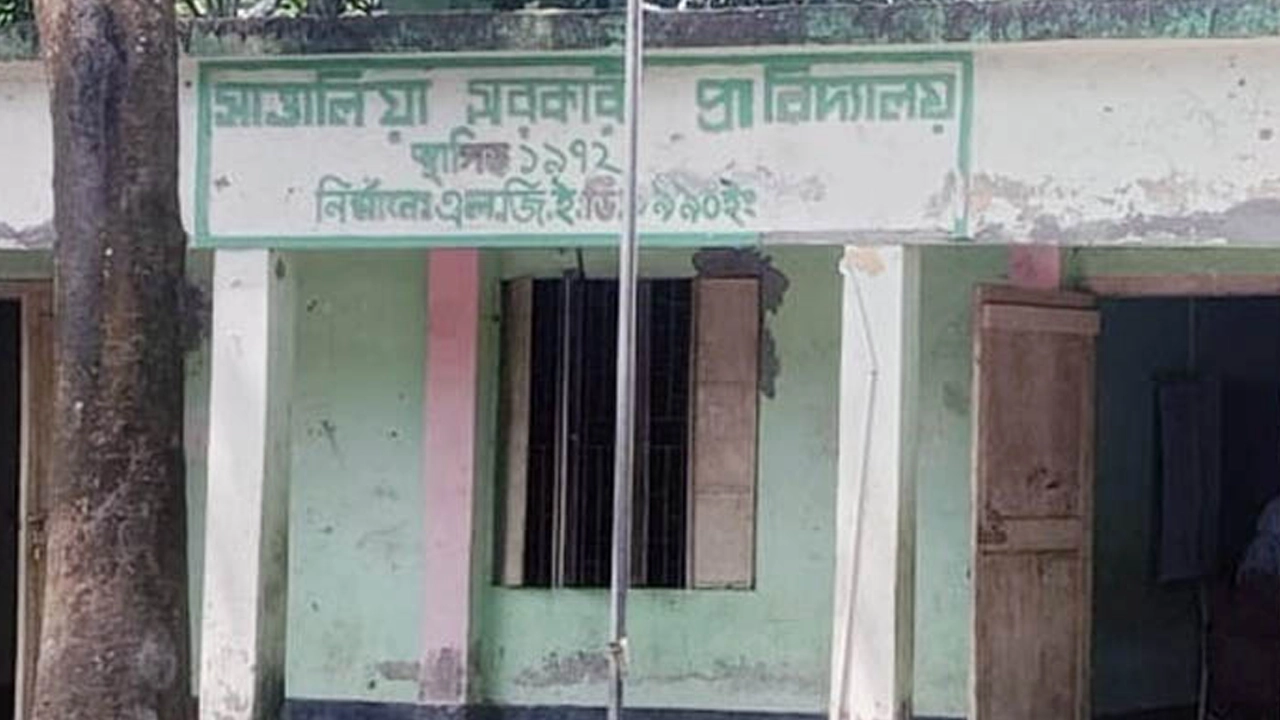 সাত্তালিয়া সরকারি প্রাথমিক বিদ্যালয়। ছবি : সংগৃহীত
