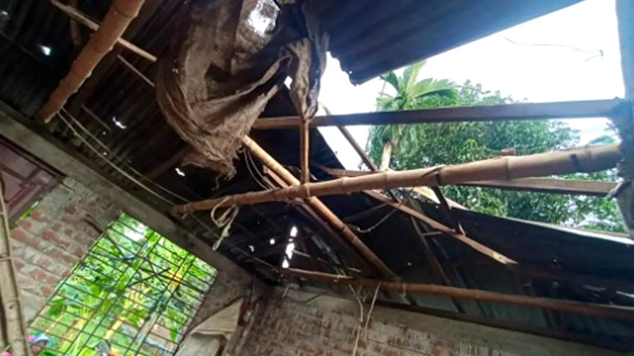 বগুড়ায় গাছের ডাল ভেঙে ২ জনের মৃত্যু
